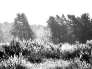 21 2024 02 Bildbesprechung USchomer 1
